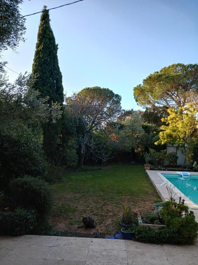 Studio Charmant Et Calme Villeneuve Les Avignon Entree Et Cour Independantes Climatisation Piscine Parking Bagian luar foto